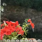 La Maison De Jardin 4*