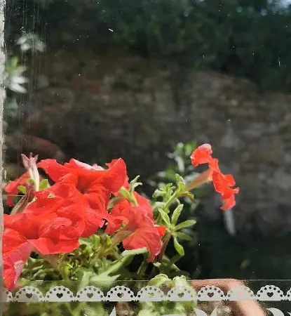 La Maison De Jardin *