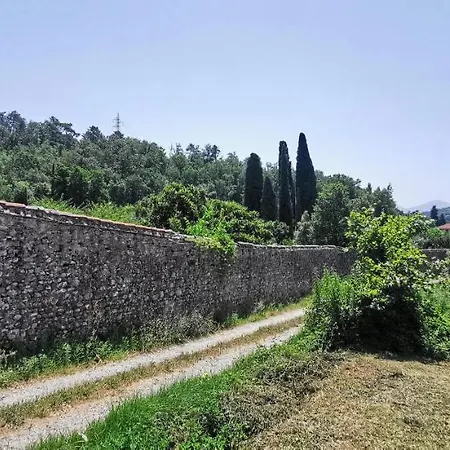 La Maison De Jardin