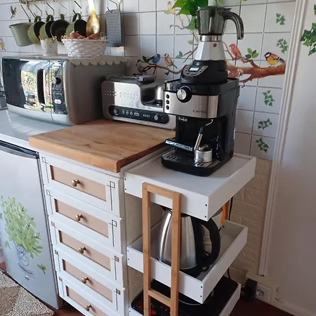 La Maison De Jardin 3* Lucca