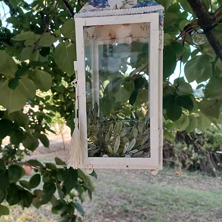La Maison De Jardin Guest house *
