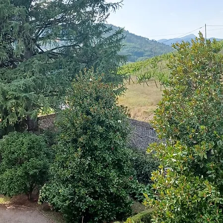 La Maison De Jardin Lucca