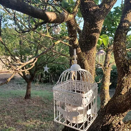 La Maison De Jardin Guest house