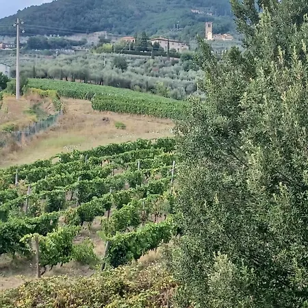 Guest house La Maison De Jardin 3*