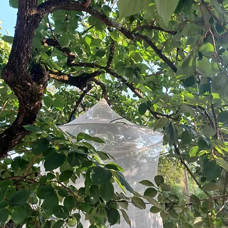 La Maison De Jardin *