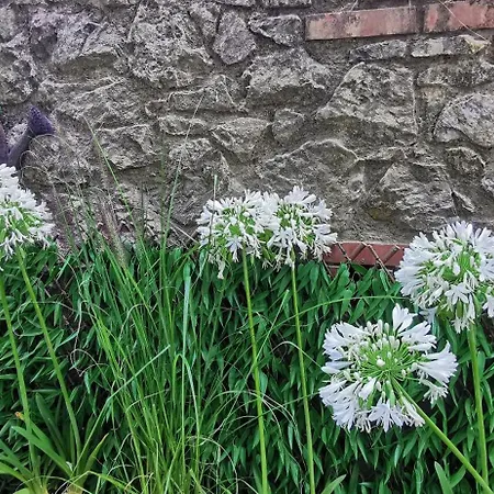 La Maison De Jardin Guest house Lucca